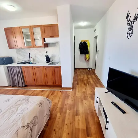 Apartman Vihren 11,bansko Banszko